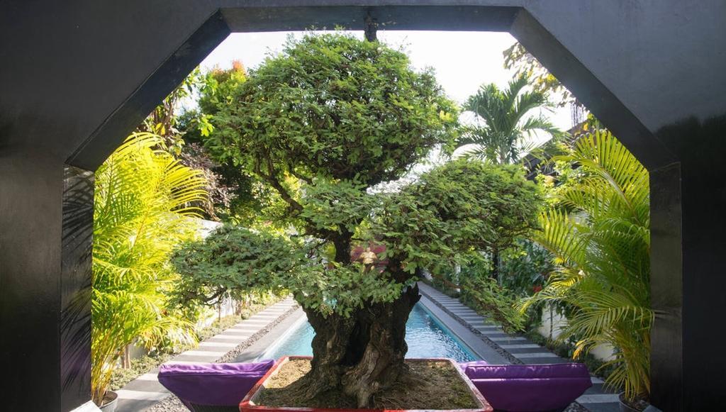 Bonsai Villas Seminyak Camera foto