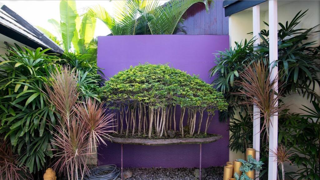 Bonsai Villas Seminyak Camera foto